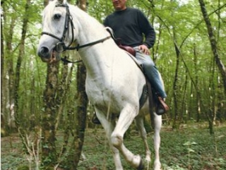  Horseback riding 